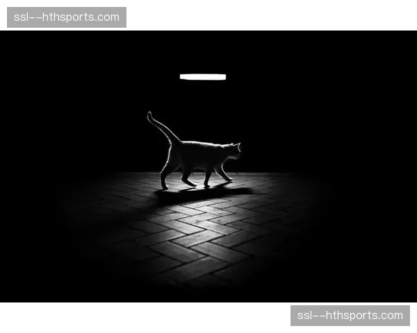 高动态范围成像技术于当前阶段普及 还原了赛场巅峰时刻的光影细节